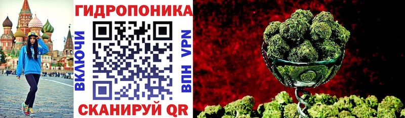 Шишки марихуана планчик  Высоцк 
